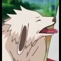 akamaru