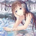 ดอลลี่