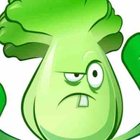 Lettuce