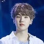 ชูก้า