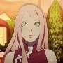 sakura