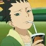shikadai