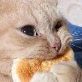 แอด