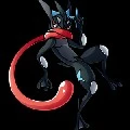 Dark Greninja