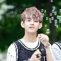 Tae Tae