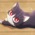 little kitty