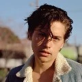 Ethan (lobo beta)