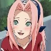 sakura