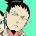 Shikamaru Nara