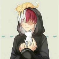 Todoroki 