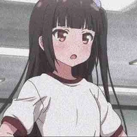 Y/N