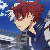 Todoroki 