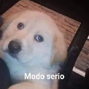 autor El plátano