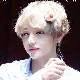 tae tae