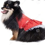 yeontan