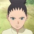 shikadai