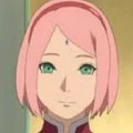 sakura