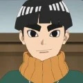 metal lee