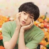Seokjin (Jin)