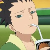 Nara Shikadai