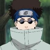 Shino Kecil