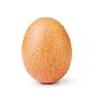 eggson