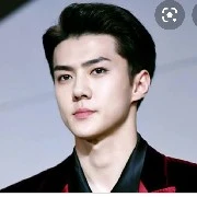 sehun (tangan kanan lisa/kepala sekolah)