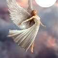 fairy1