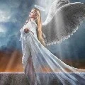 fairy2