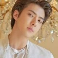 Sehun Alfarezi Jung