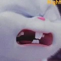 แอดนิวเองงับบ
