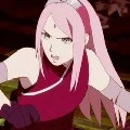 sakura