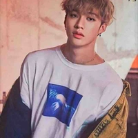 Bang Chan 