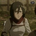 mikasa