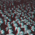 The crowd