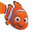 rofi