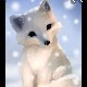 Fennie
