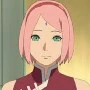 sakura
