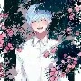Lindo ( greenery Prince )
