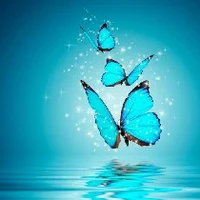 Blue_angel