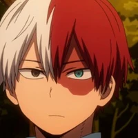 Todoroki