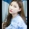 chaeryeong