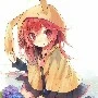 system / lily