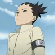 shikadai