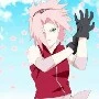 sakura