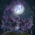 akthor