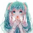 Moa