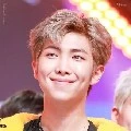 RM/namjoon