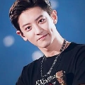 Chanyeol(tangan kanan markas+abg angkat)