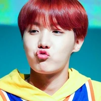 JUNG HOSEOK(Hobi)(JH)